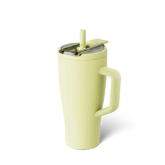 Era Flip 30oz